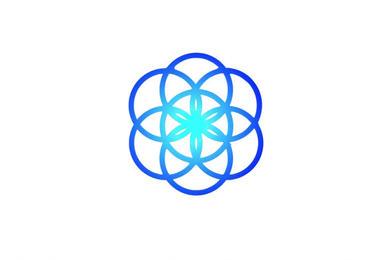 Coaching Certification