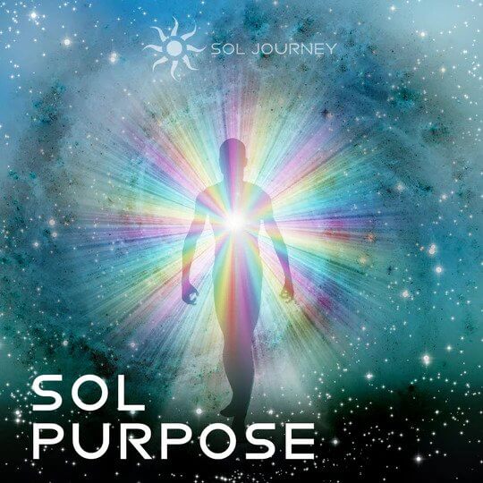 Sol Purpose